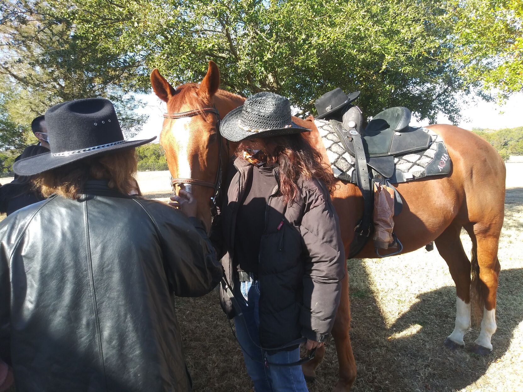 Horse Stables 7.jpg
